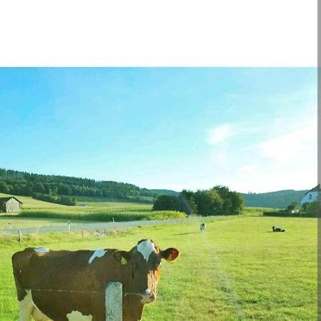 4 Erw. 1 Ki. Ski Entspannung Terasse Ausblick Schmallenberg Luaran gambar