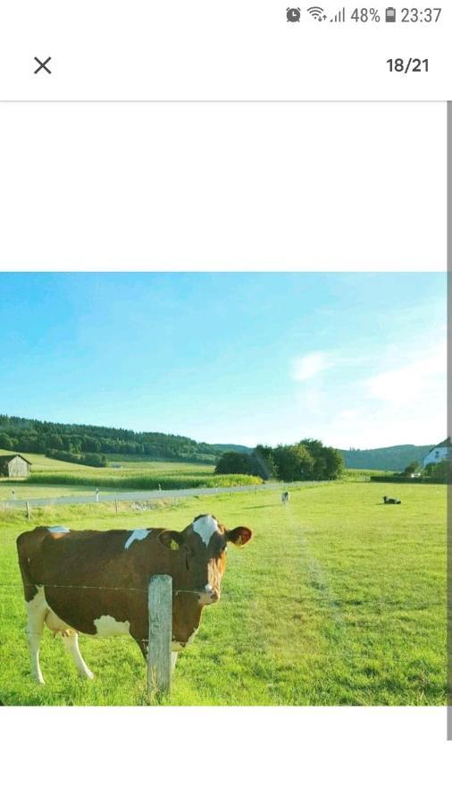 4 Erw. 1 Ki. Ski Entspannung Terasse Ausblick Schmallenberg Luaran gambar